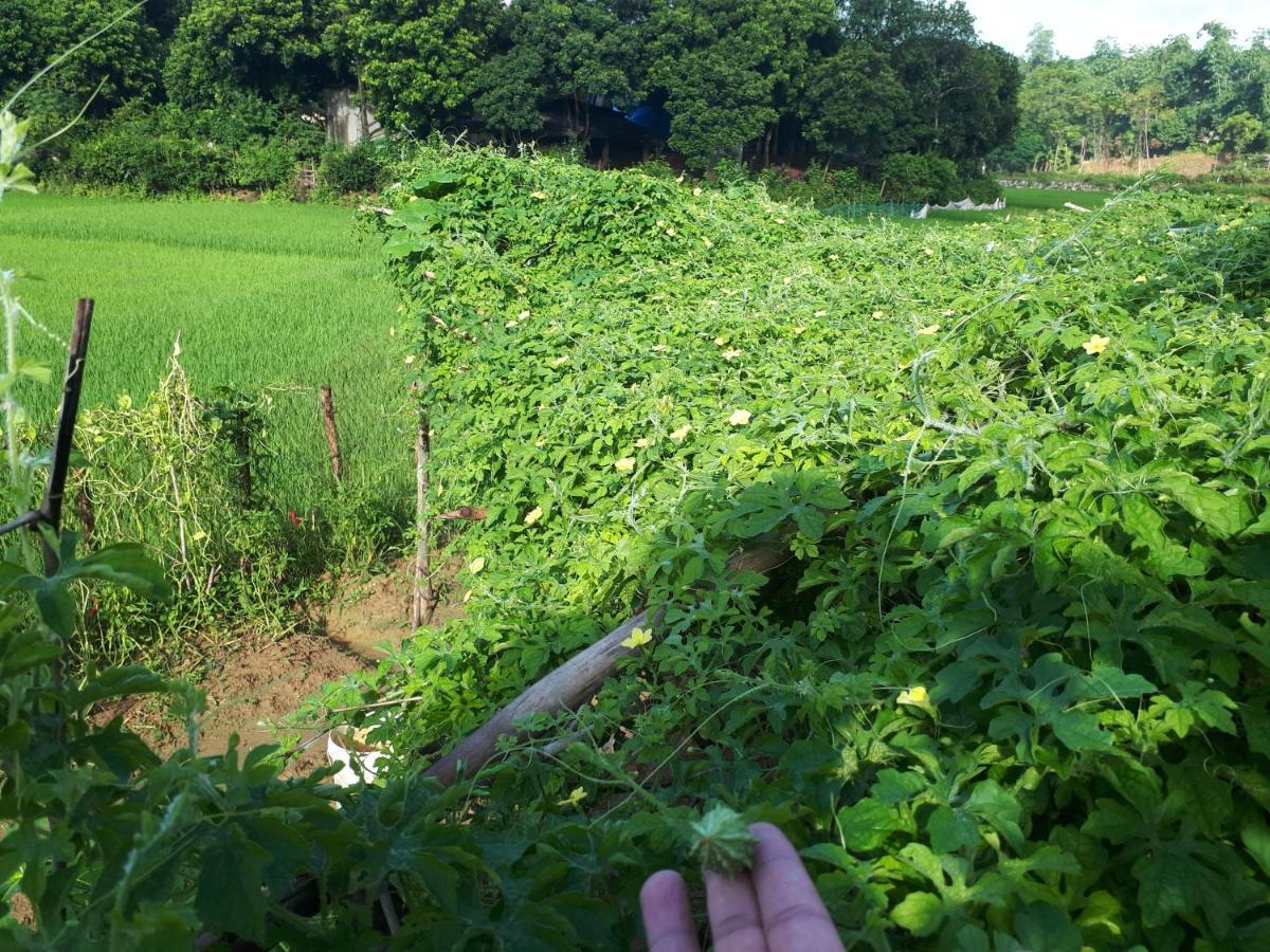 Meadow Mai Chau Homestay Zewnętrze zdjęcie