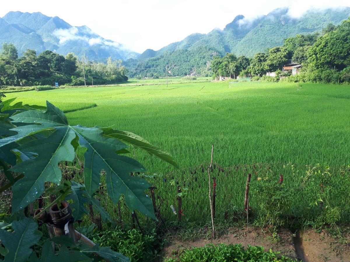 Meadow Mai Chau Homestay Zewnętrze zdjęcie