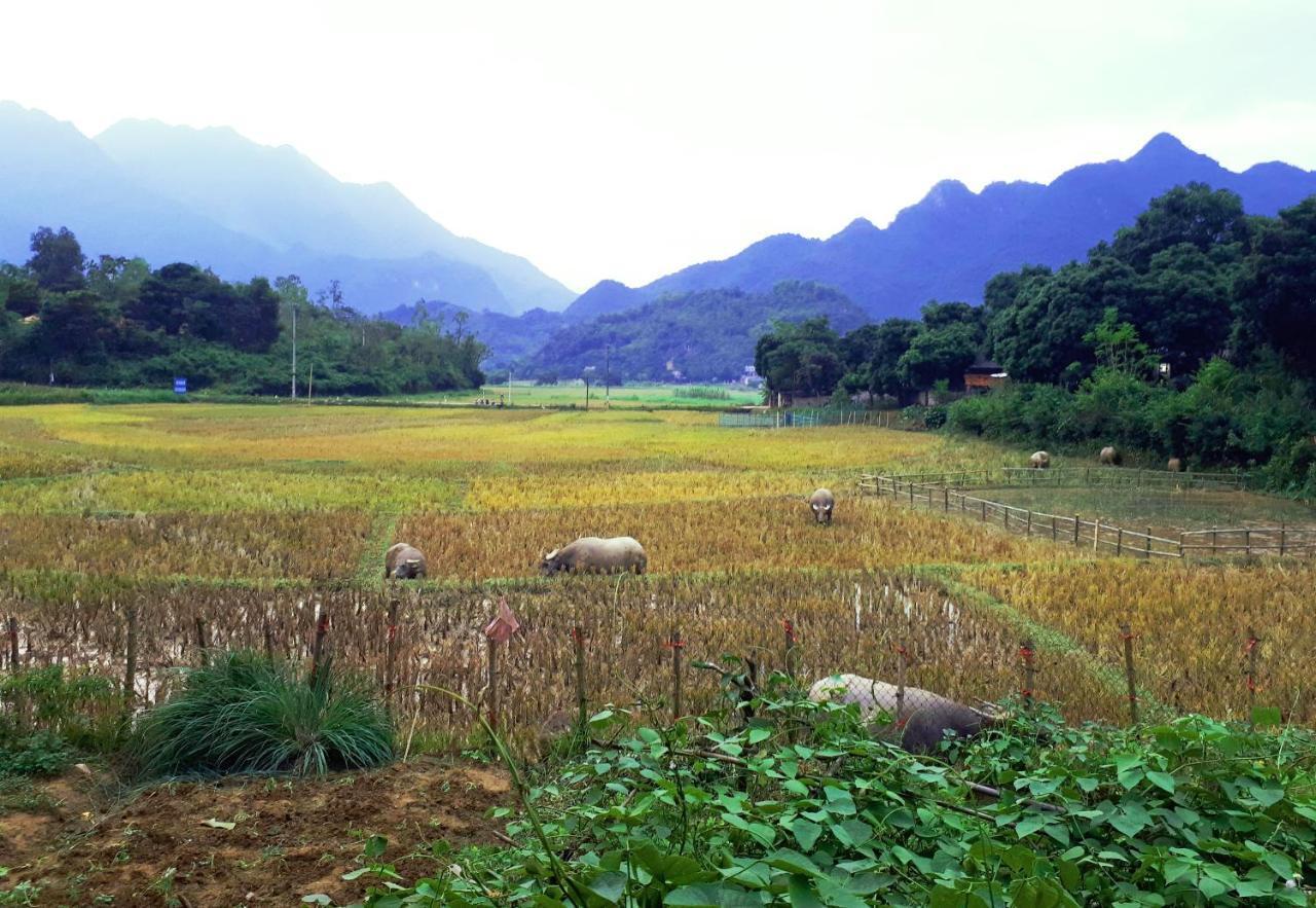 Meadow Mai Chau Homestay Zewnętrze zdjęcie