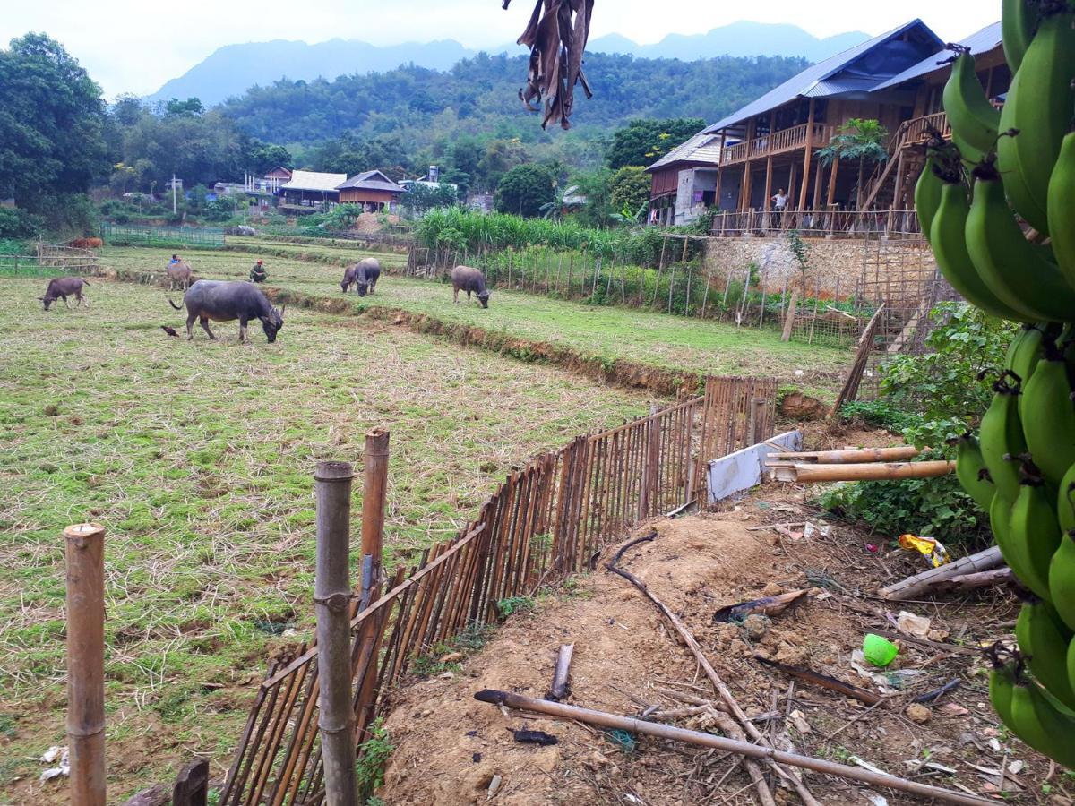 Meadow Mai Chau Homestay Zewnętrze zdjęcie